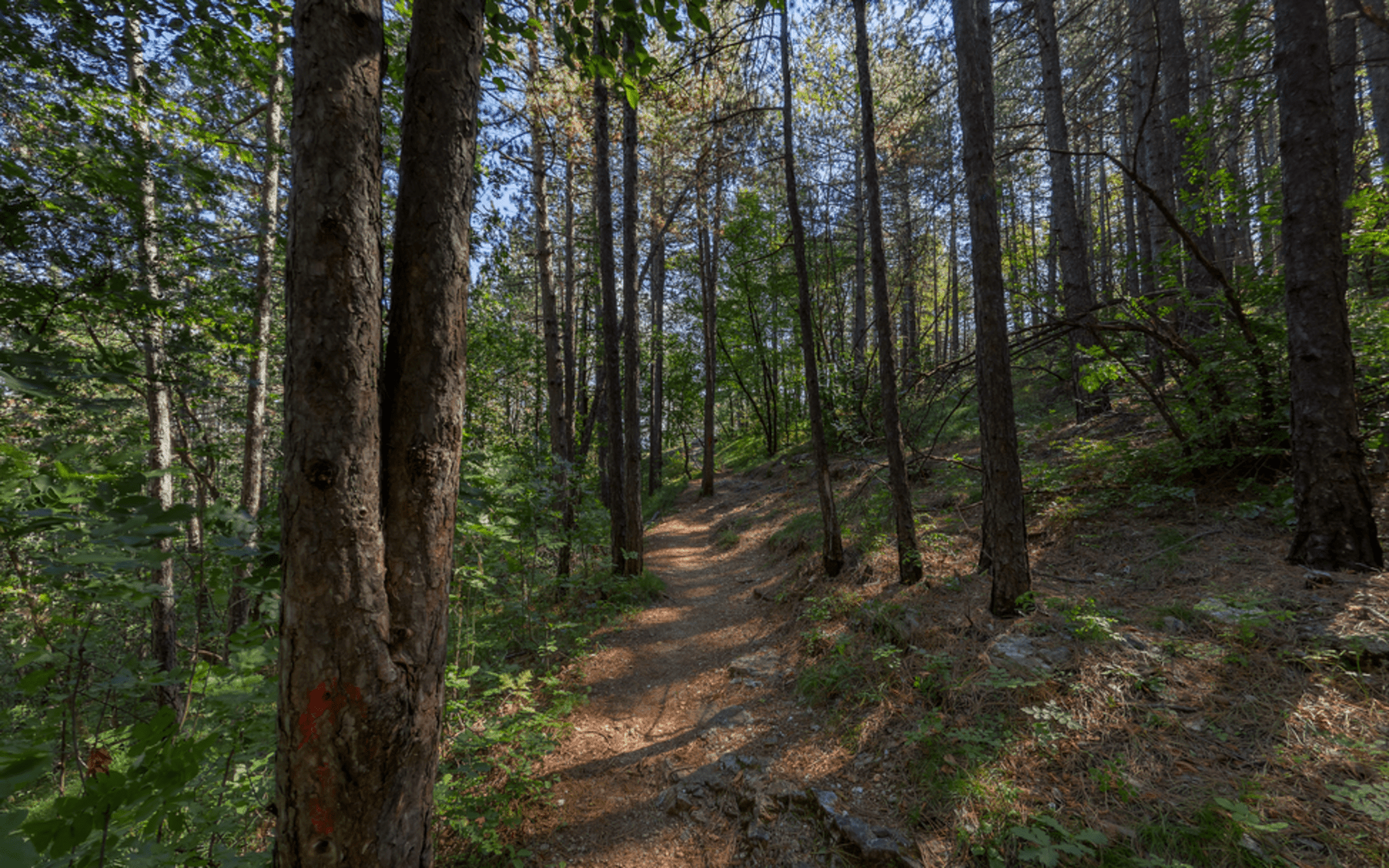 Remarkable area "Trebjesa"