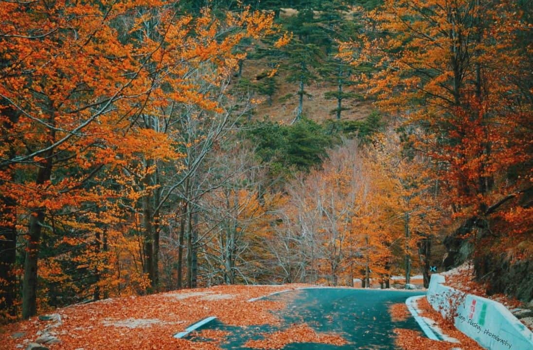 National Park Of Qafshtama