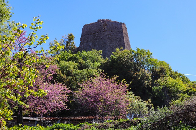 Kardhiqi Castle